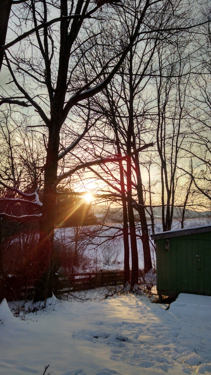 February has worked its way under my skin like a splinter from a Nazgul blade. But even in the cold, dark times, there is beauty.