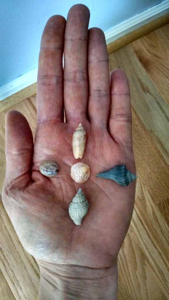 .......tiny treasures.......