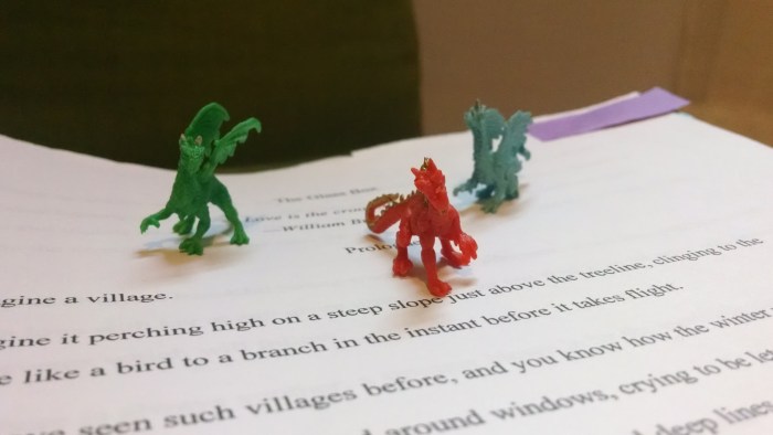 "What is this nonsense? Does this have ANYTHING to do with dragons? IS THIS A KISSING BOOK?!?"