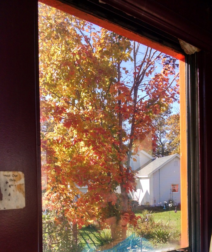 Oh, you leaves.......you get me. Every time.