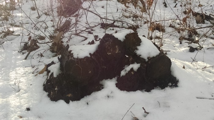 IMG_20160216_163422001