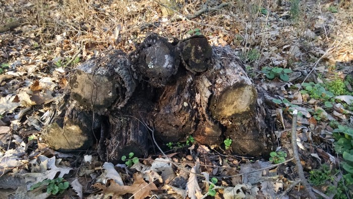 IMG_20160317_082048960