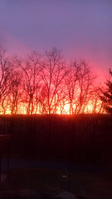 img_20170119_071257688_hdr