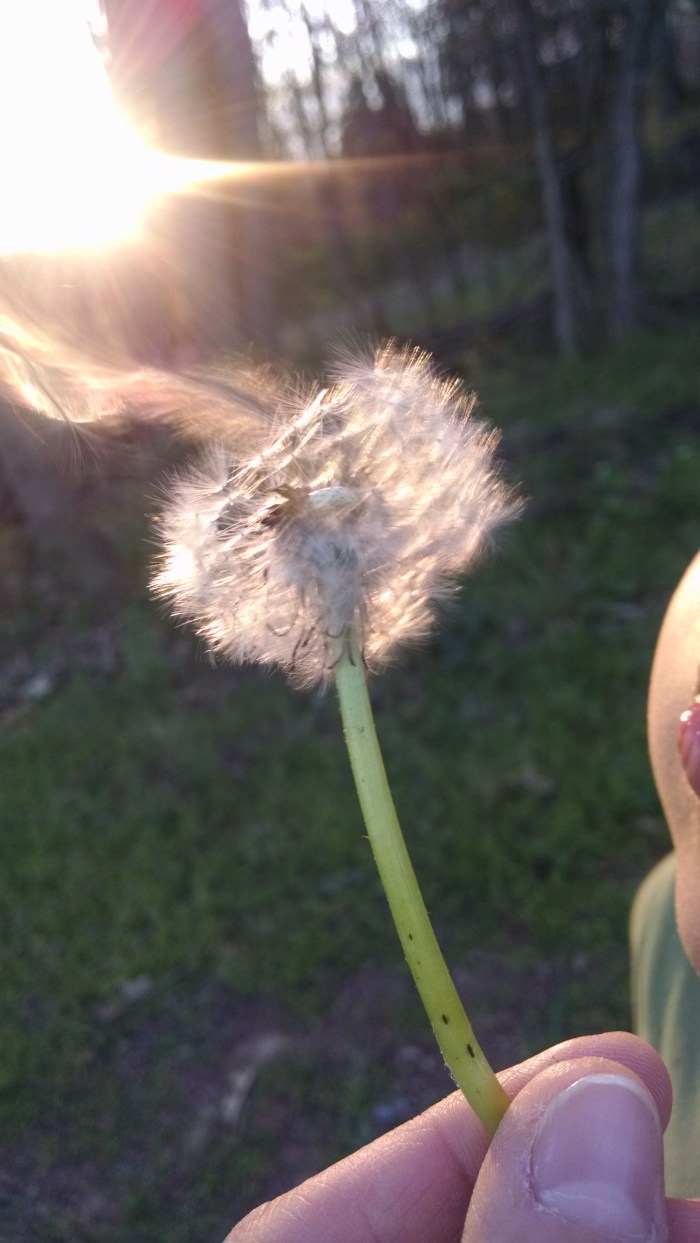 IMG_20170411_191659444