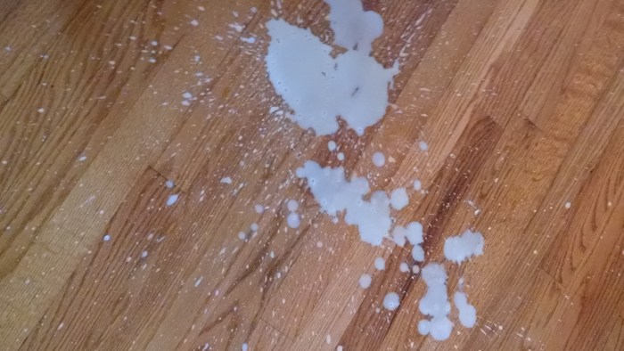 IMG_20170702_171256095