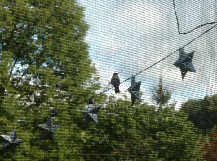 21192765_510023202681623_6945364575008520518_n