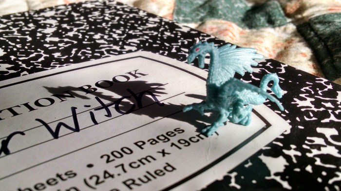 IMG_20171130_140007127_HDR