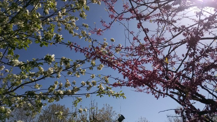 IMG_20180501_100830268