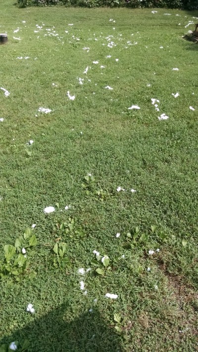 IMG_20180811_111911667