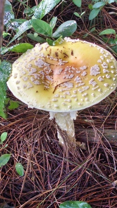 IMG_20180926_083407448_HDR