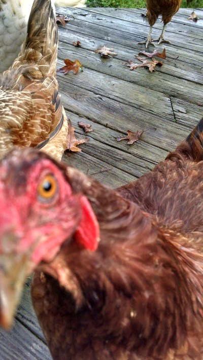 IMG_20180926_082707015_HDR