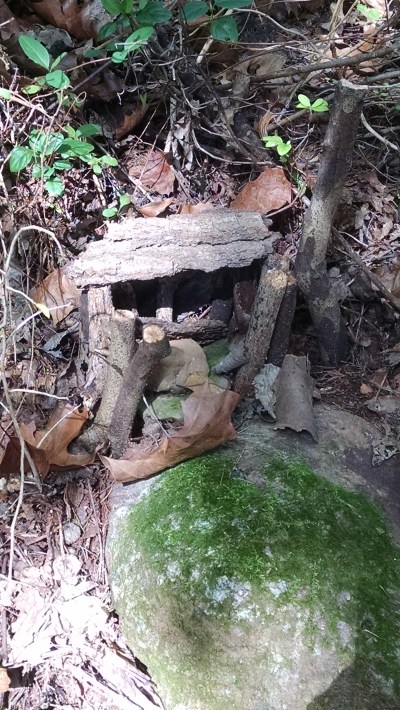 IMG_20181008_111754596