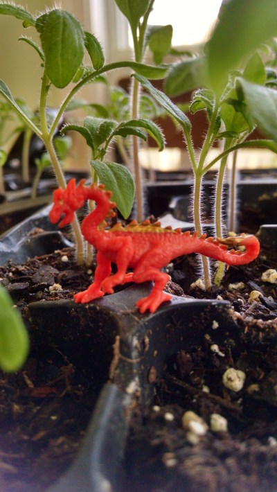 IMG_20190415_183128970_HDR