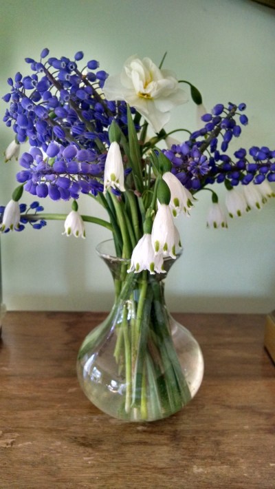 IMG_20190421_081721888_HDR