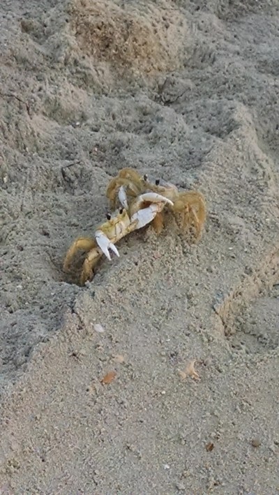 IMG_20190626_060552348